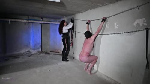 Mistress Lady Renee - Daily Whipping